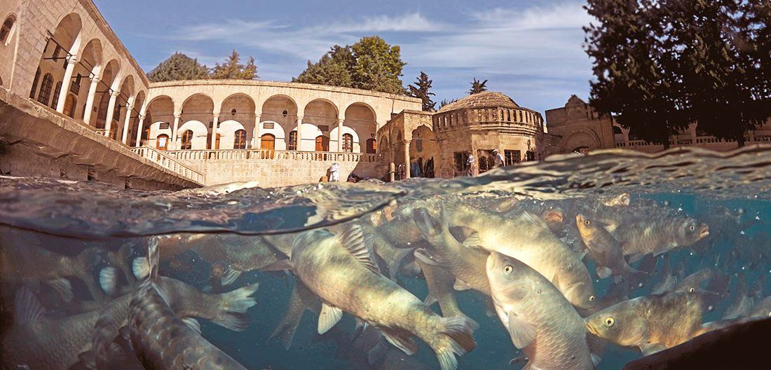 Şanlıurfa'da kurumsal gezi